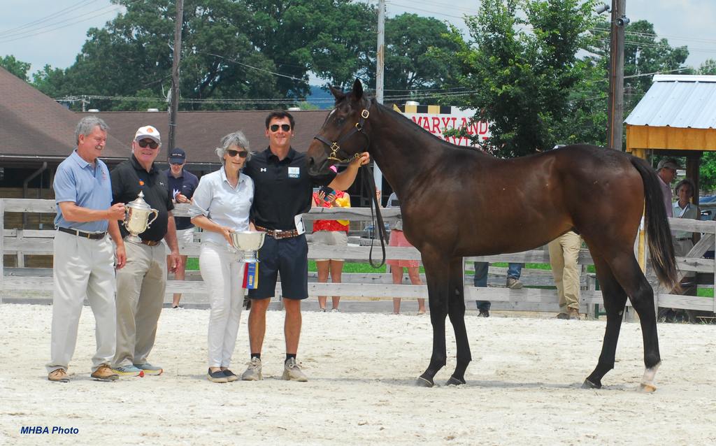 Championship presentation: (left to right) MHBA president Kent Murray, Mike Pons, Ann Merryman, Michael Merryman with Great Notion–Sista colt. (MHBA Photo)