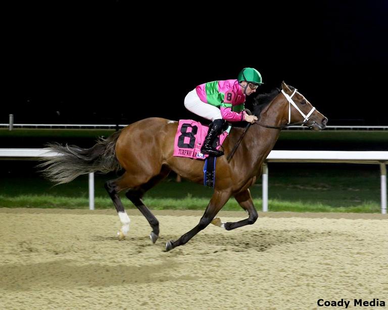 Nice as Pie takes the Serena's Song March 30, 2024, at Turfway Park (Coady Media)