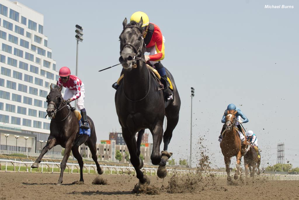 The Casse trio leading the way in the Victoria. (Michael Burns)