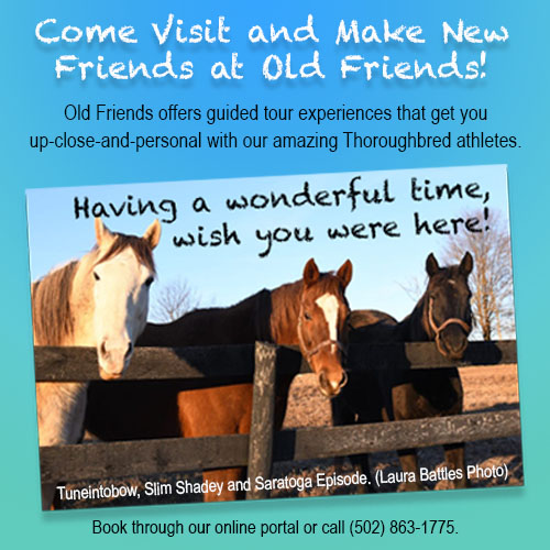 OF: Old Friends square Sept 2024 (ad)