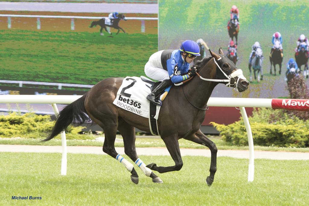 Suigu Belle and jockey Fraser Aebly winning R4 June 28, 2025. (Michael Burns)