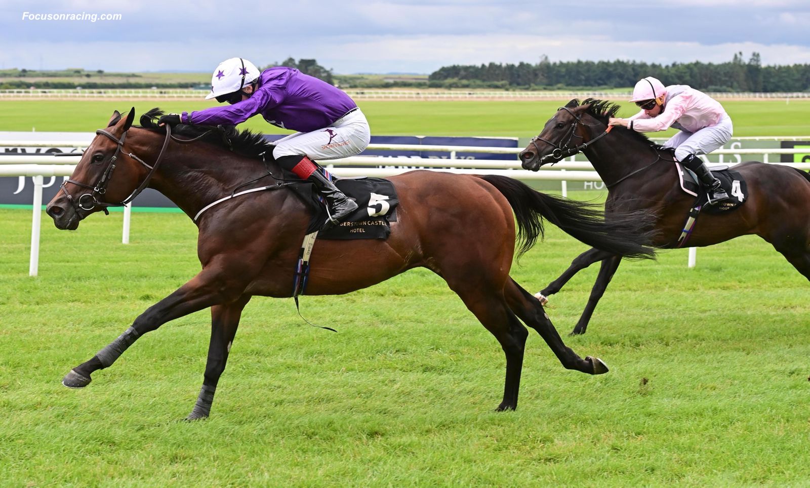 Meehan: 'The Breeders' Cup is like the Olympics' - Past The Wire