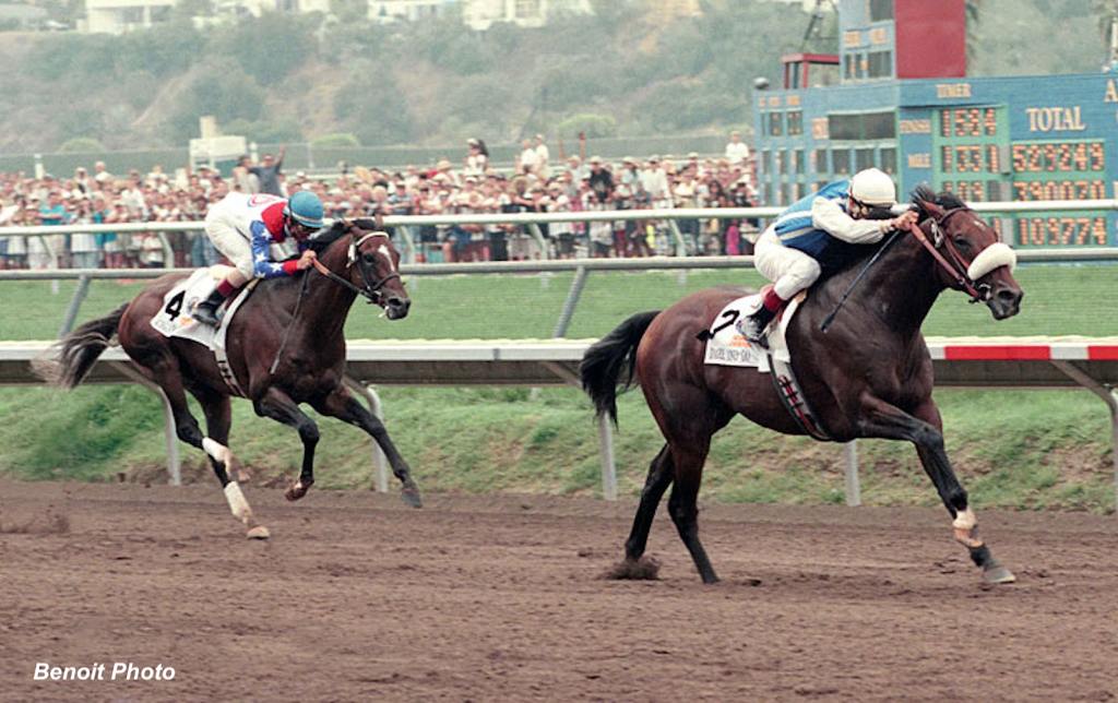 Dare And Go bests Cigar (1996) (Benoit Photo)