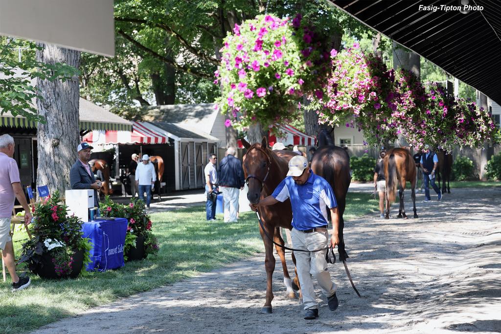 Fasig-Tipton Photo