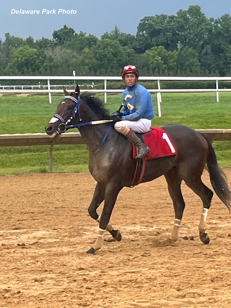 Jumping the Gun. (Delaware Park photo)