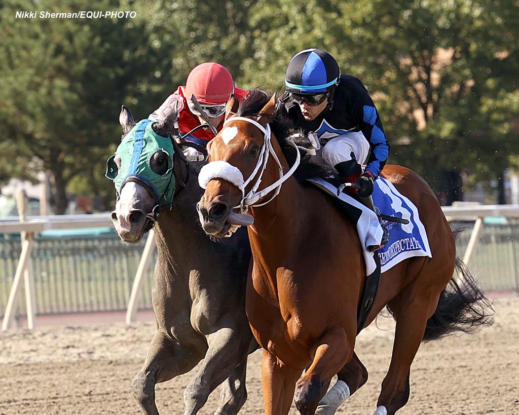 Come Prima #8 ridden by Ricardo Chiappe was elevated to after Beyondexpectations #3 (inside) was disqualified for interference in the stretch. (Nikki Sherman/EQUI-PHOTO)