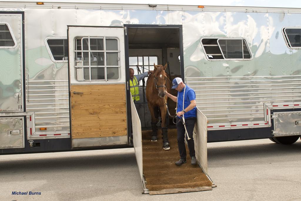 2025 Rogers Woodbine Mile contender Notable Speech (GB) arriving at Woodbine. (Michael Burns)