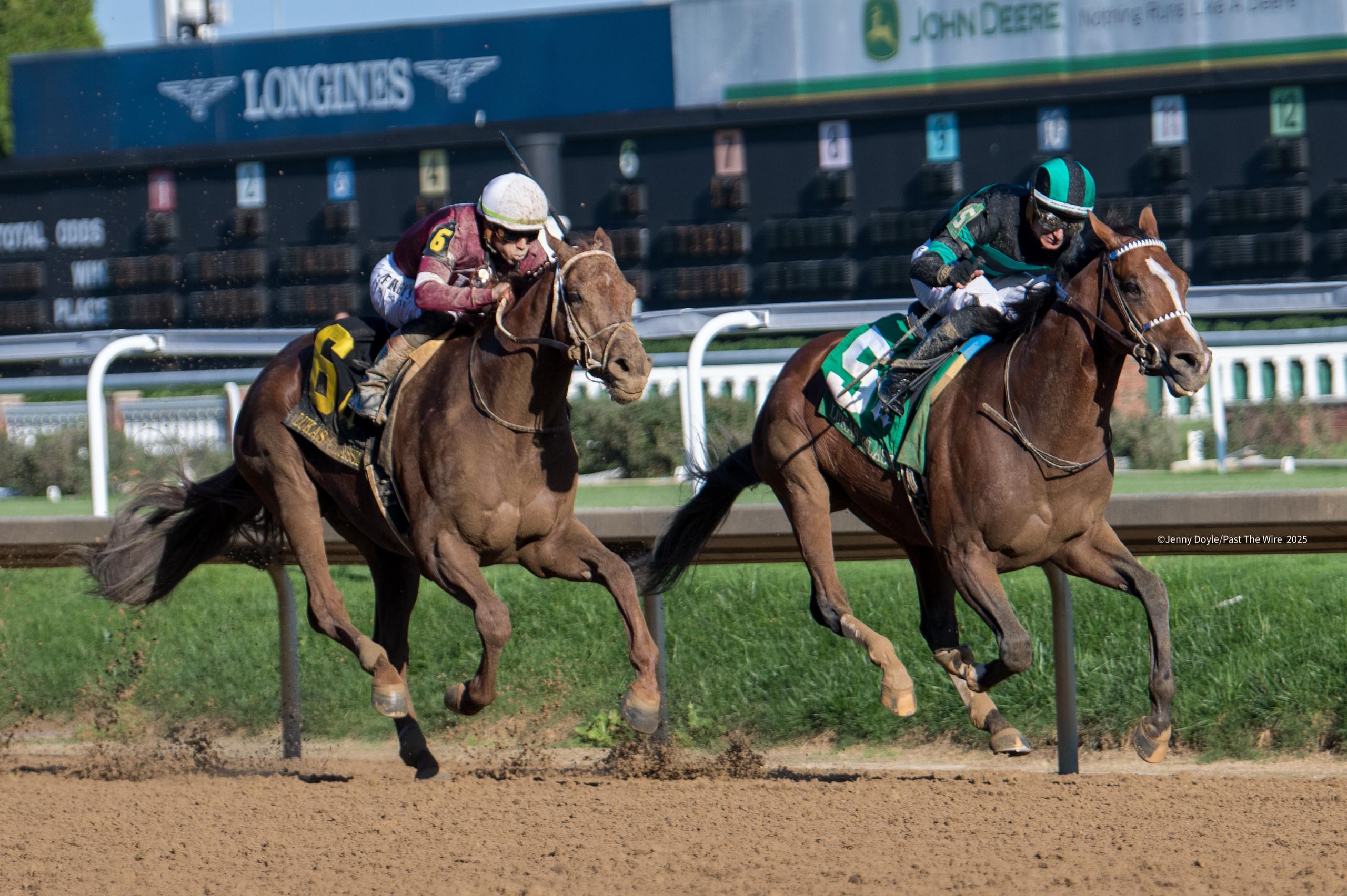Equestrian Sports: Past the Wire's Influence - Past The Wire