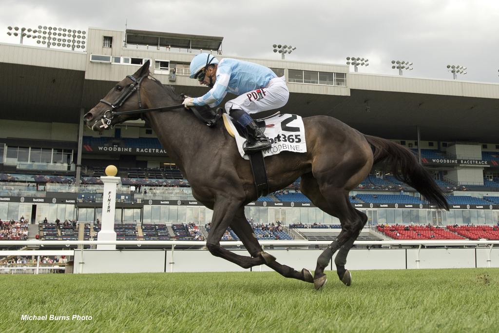 Aristella and jockey Rafael Hernandez winning the Wonder Where Stakes on September 6, 2025, at Woodbine. (Michael Burns Photo)