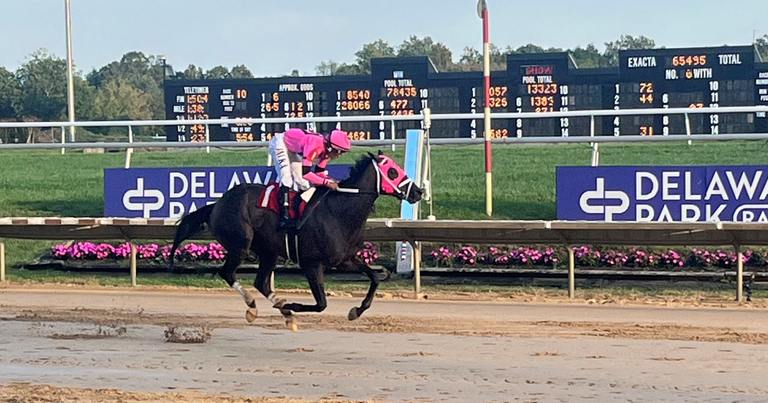Cooke Creek. (Delaware Park Photo)