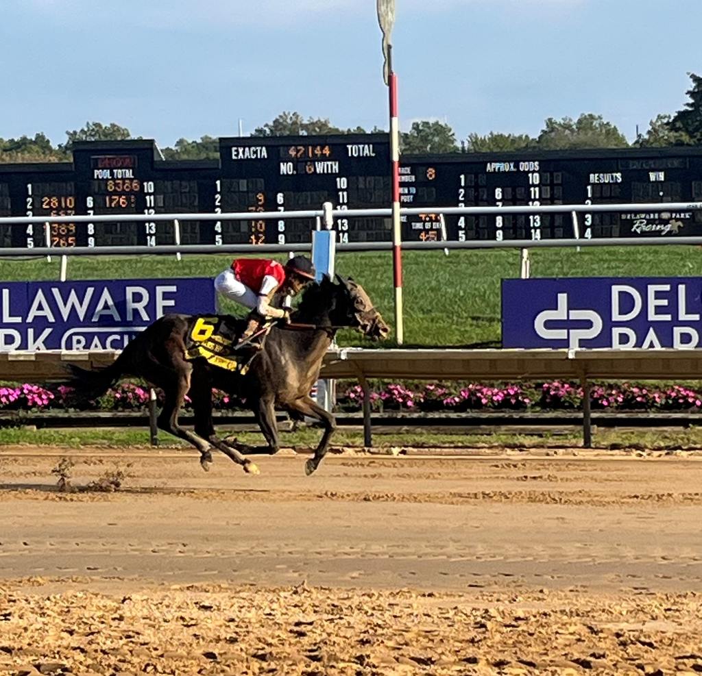 Regaled. (Delaware Park Photo)