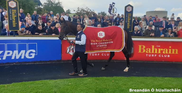 Delacroix, winner of the 2025 Royal Bahrain Irish Champion Stakes