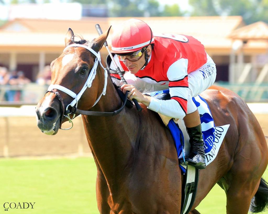 Destino d'Oro, with Luan Machado up, won Ellis Park's Grade 3 Pucker Up by 3 3/4 lengths. (Coady Media)