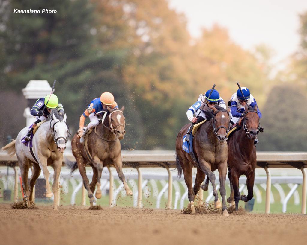 Echo Sound with Brad Ortiz Jr. up wins the Myrtlewood for trainer Rusty Arnold and owner Gabriel Duignan, 2024 Keeneland Fall Meet. (Keeneland Photo)
