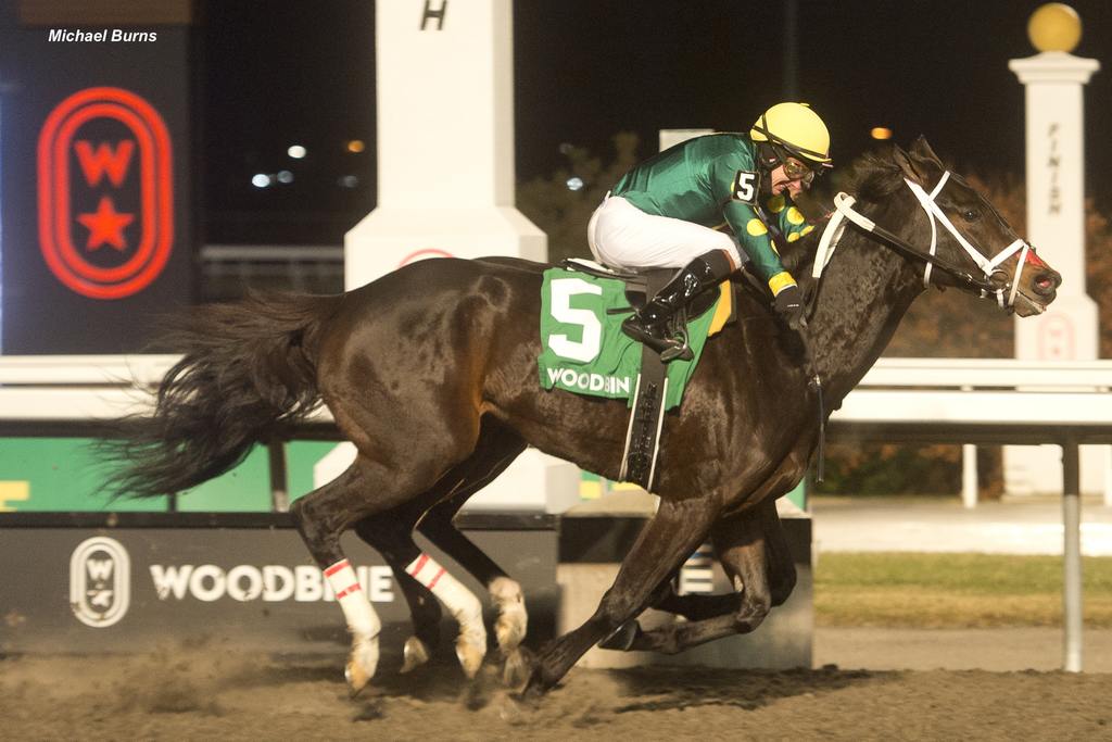 Fashionably Fab and jockey Davi Moran winning the La Prevoyante Stakes on December 14, 2024, at Woodbine. (Michael Burns)