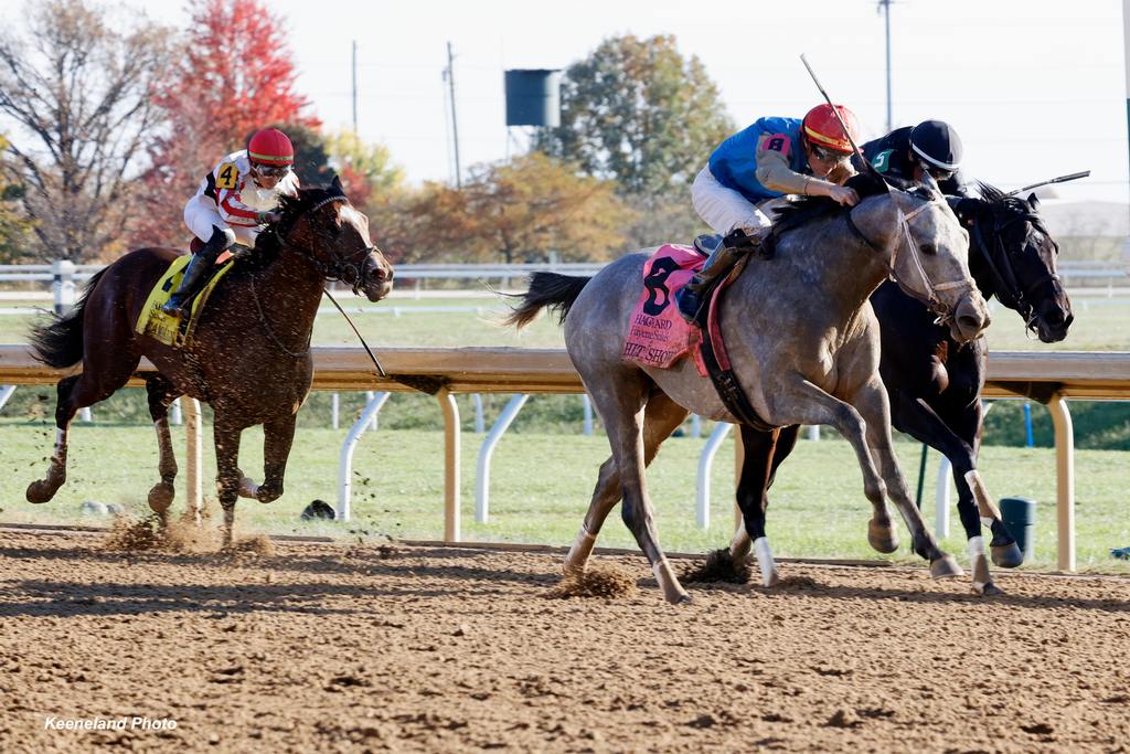 Hit Show with Florent Geroux up wins the Hagyard Fayette for trainer Brad Cox and owner Wathnan Racing, H Al Thani, 2024 Keeneland Fall Meet. (Keeneland Photo)