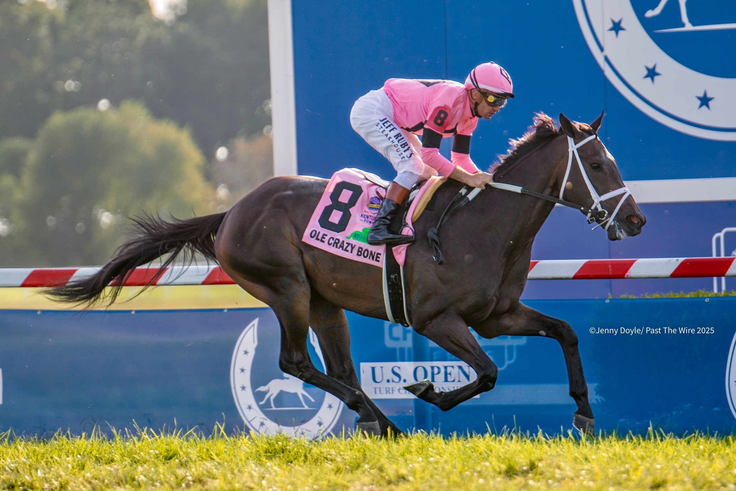 HORSE RACE　モンチッチ　2体　レーシングホース Ole Crazy Bone Draws Away in KY Turf Cup - Past The Wire