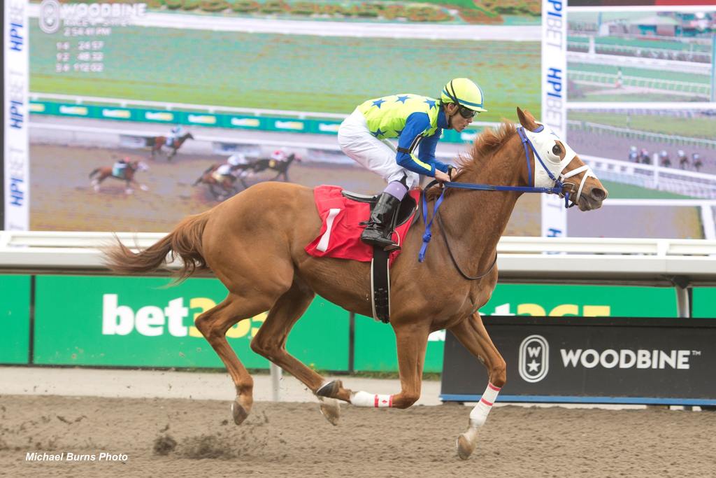Lapochka and jockey Daisuke Fukumoto winning race 4 on May 11, 2024 at Woodbine. (Michael Burns Photo)
