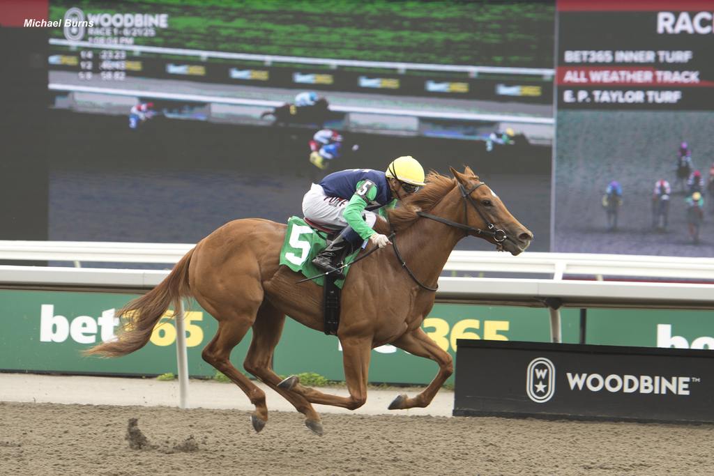 Pageant Queen and jockey Rafael Hernandez winning Race 1 on June 21, 2025, at Woodbine. (Michael Burns)
