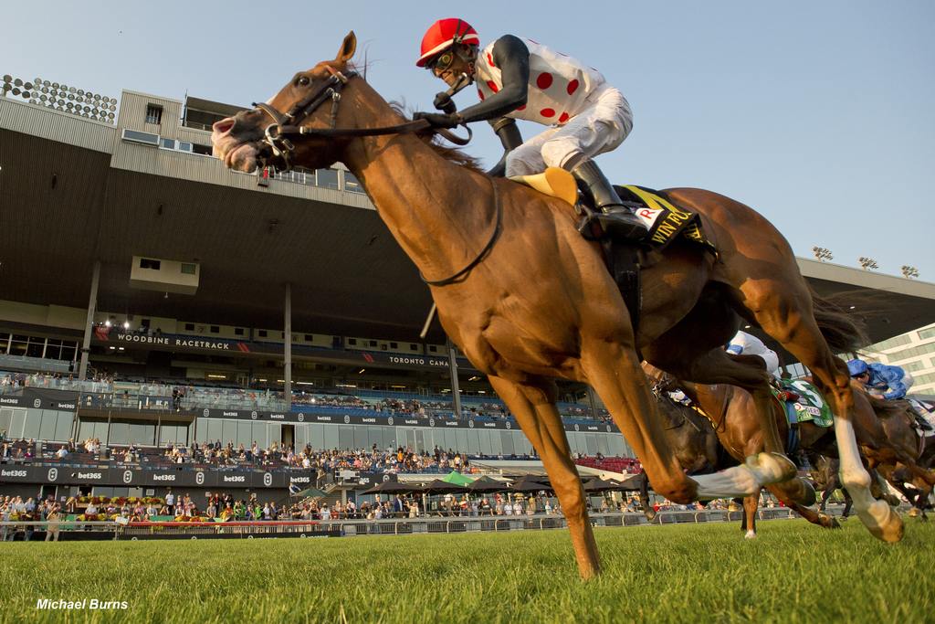 Win for the Money and jockey Patrick Husbands winning the 2024 Rogers Woodbine Mile. (Michael Burns)