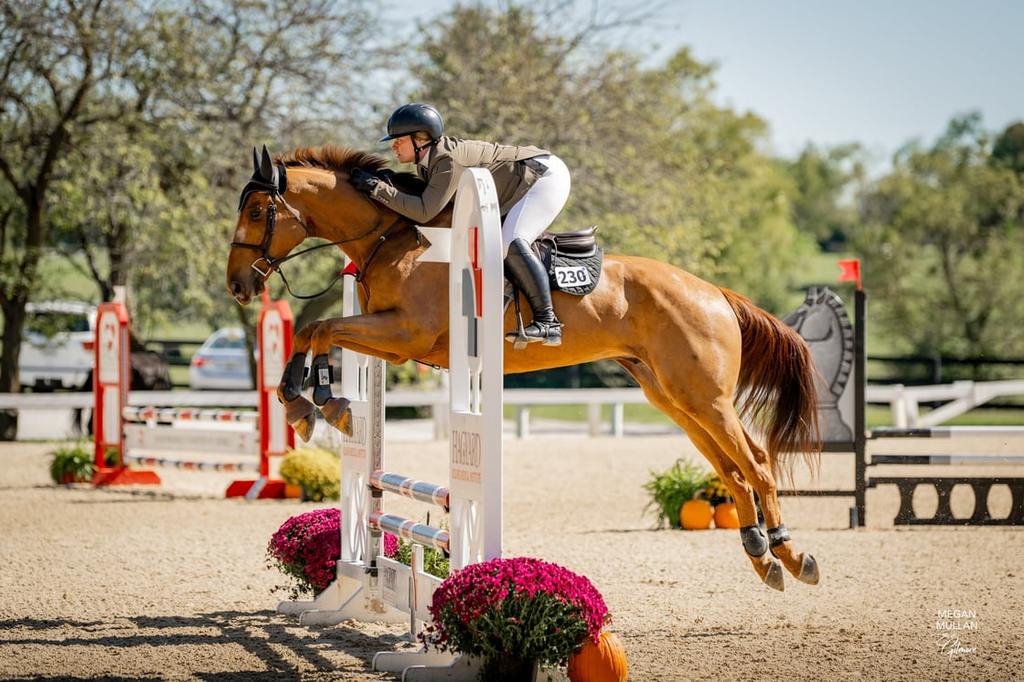 Late Night Cruiser, the 2025 Show Jumper Champion. (RRP Photo)