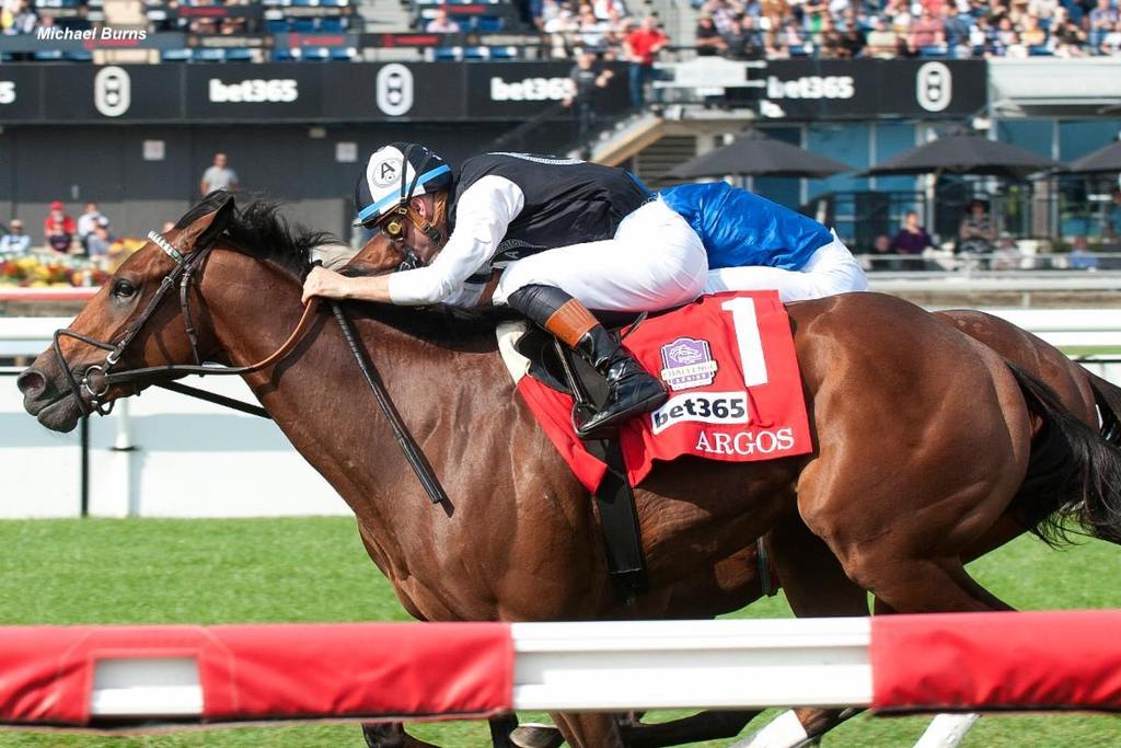 Argos winning Woodbine's G1 Summer Stakes to earn a spot in the Breeders' Cup Juvenile Turf at Del Mar. (Michael Burns photo)