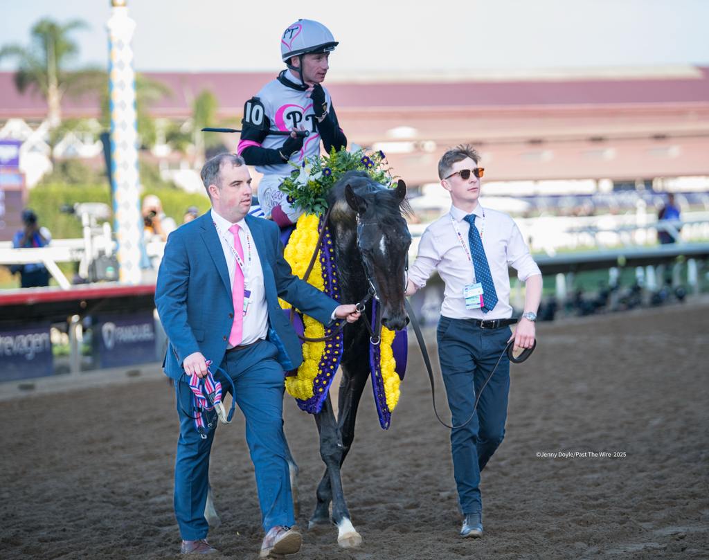 Happy horse sporting the blanket with happy connections. (Jenny Doyle/Past The Wire)