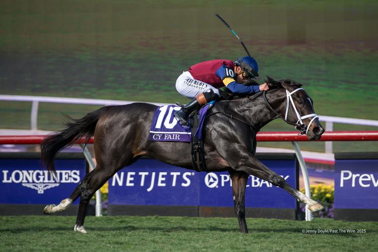 Cy Fair is only the Second Filly to Win the Grade 1 race. (Jenny Doyle/Past The Wire)
