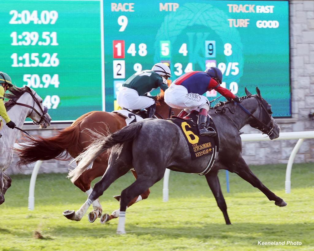 The field rounds the turn. (Keeneland Photo)