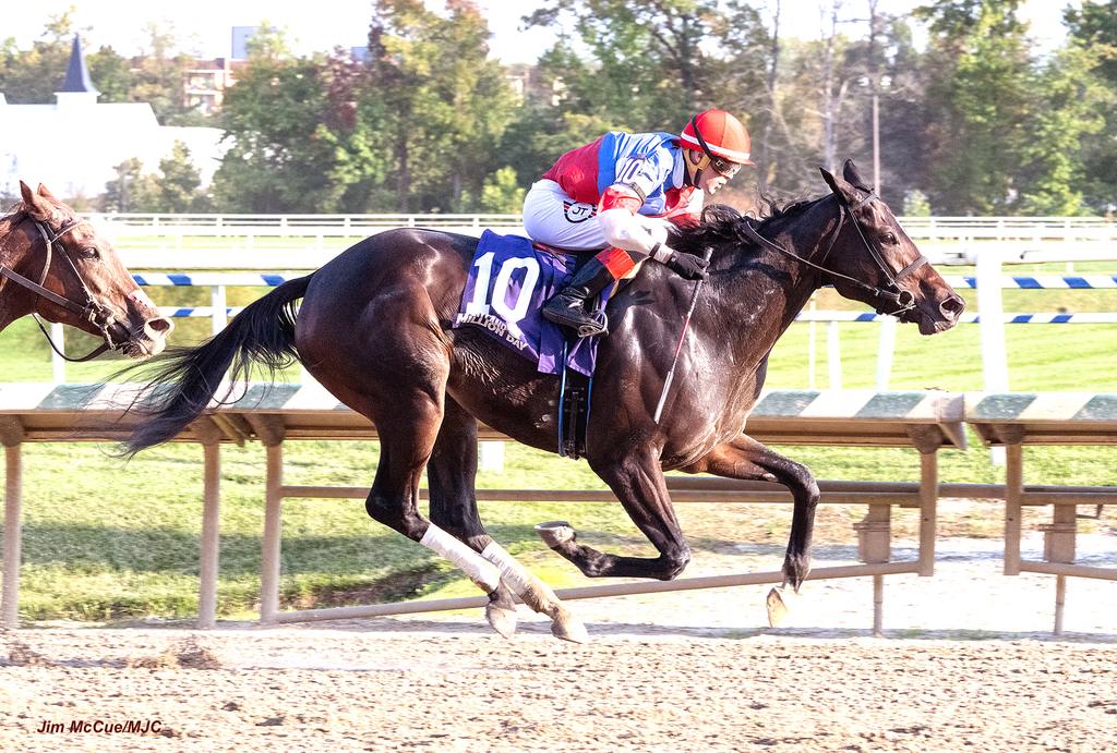Foxy Junior scoring the 2024 MM Distaff. (Jim McCue/MJC)