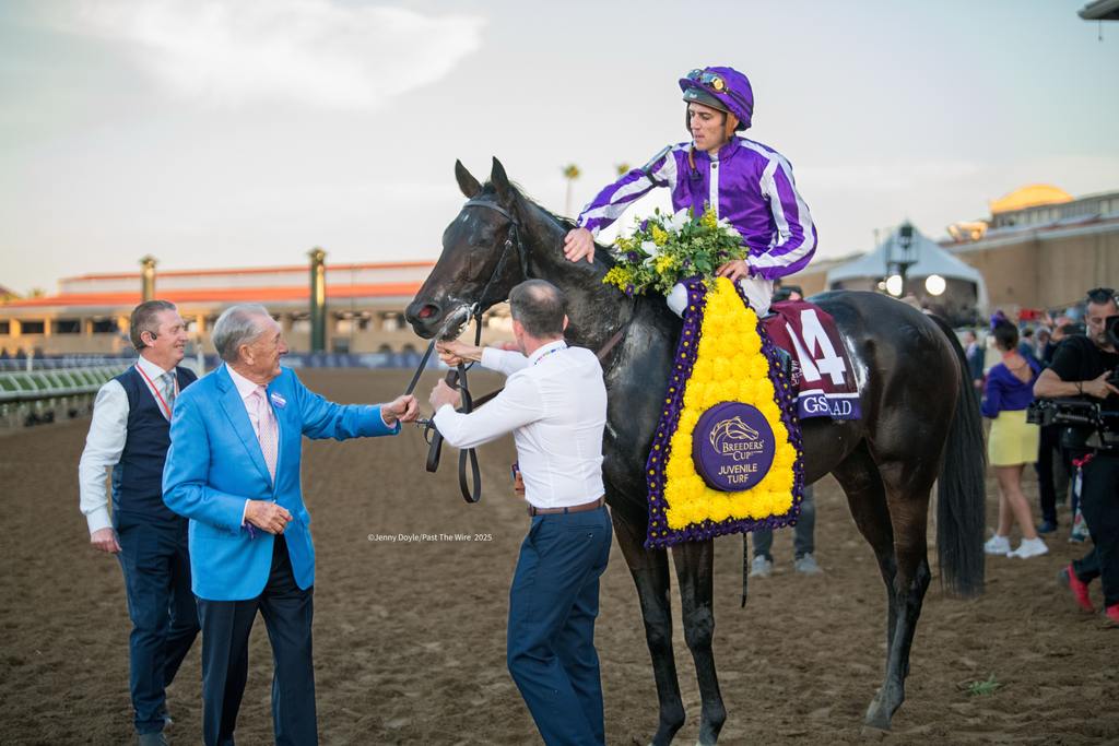 Perfect horse, happy connections. (Jenny Doyle/Past The Wire)