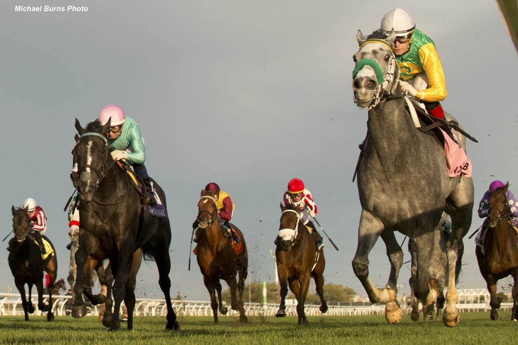 The field rolls behind Little Teddy. (Michael Burns Photo)