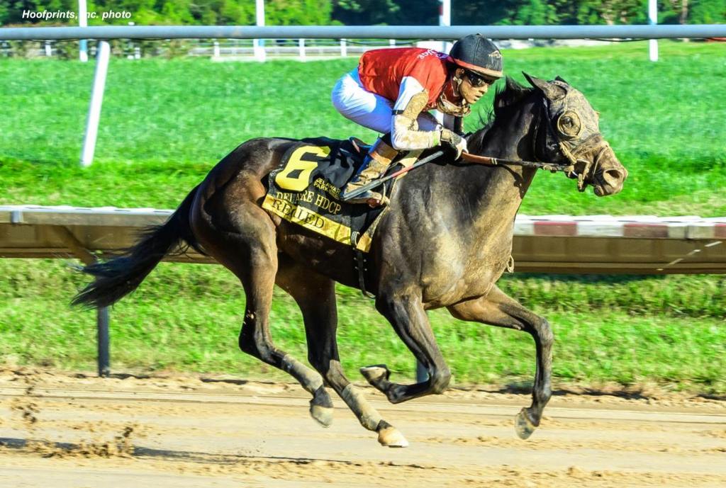 Regaled fulfilled her new ownership's goal of winning Delaware Park's G3 Delaware Handicap. The bonus is that the 4-year-old filly is running in the Breeders' Cup Distaff. (Hoofprints, Inc. photo)