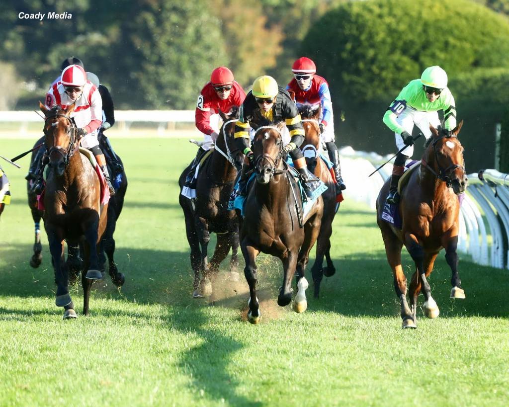 Rhetorical charges forward to win the Coolmore Turf Mile. (Keeneland Photo)