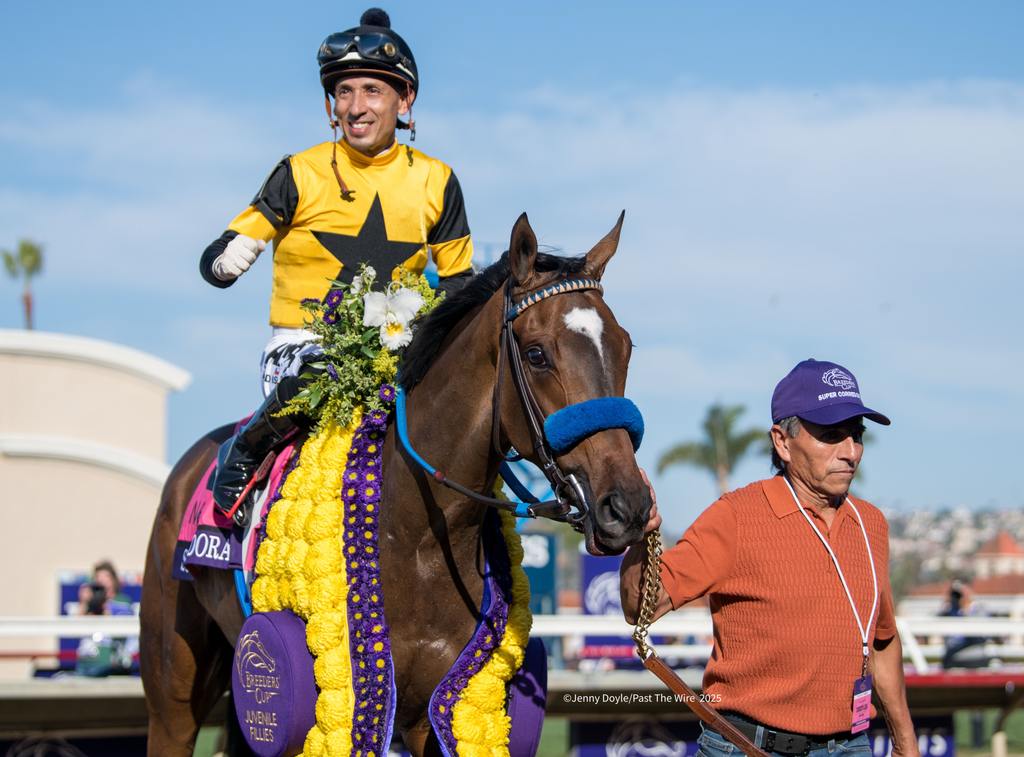 Hector Berrios wins his first Breeders’ Cup race, third stakes on the card. (Jenny Doyle/Past The Wire)
