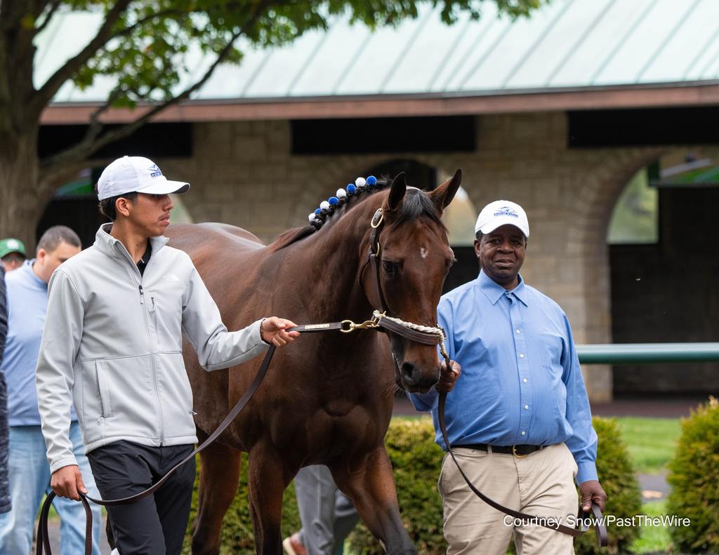 Thorpedo Anna in her final parade before fans as she goes off to rest up for the 2026 breeding season. (Courtney Snow/Past The Wire)