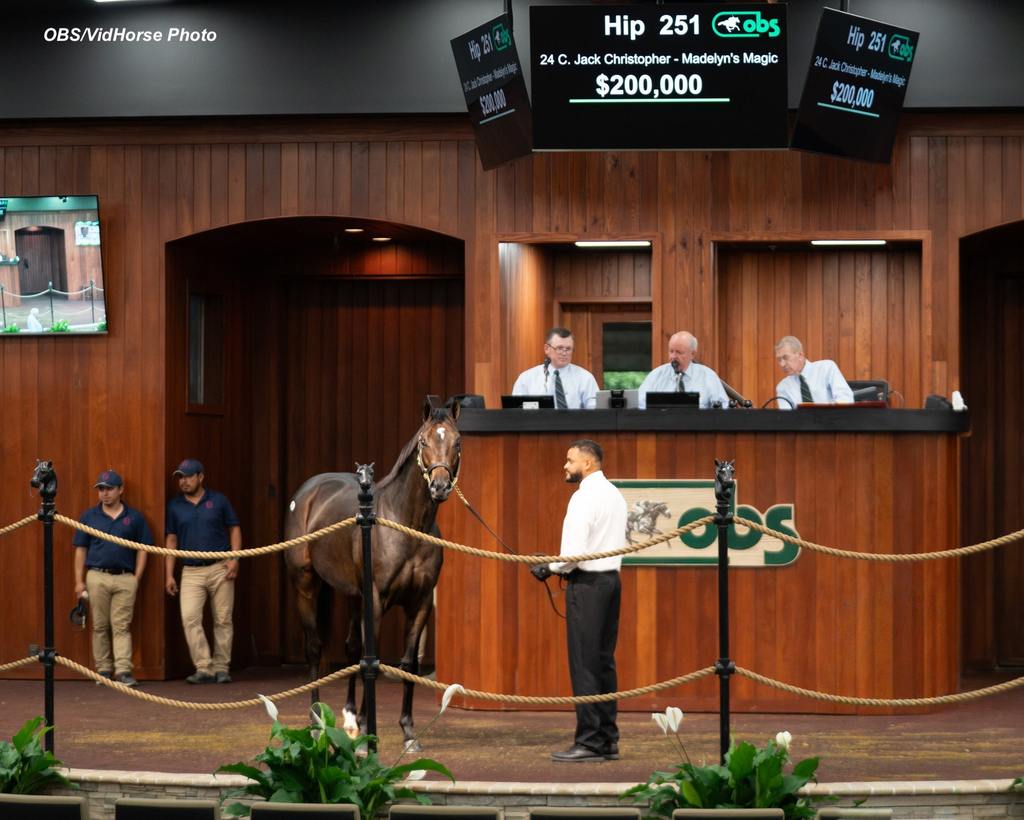 Hip 251 a Jack Christopher colt consigned by Beth Bayer brought $200,000. (OBS/VidHorse Photo)