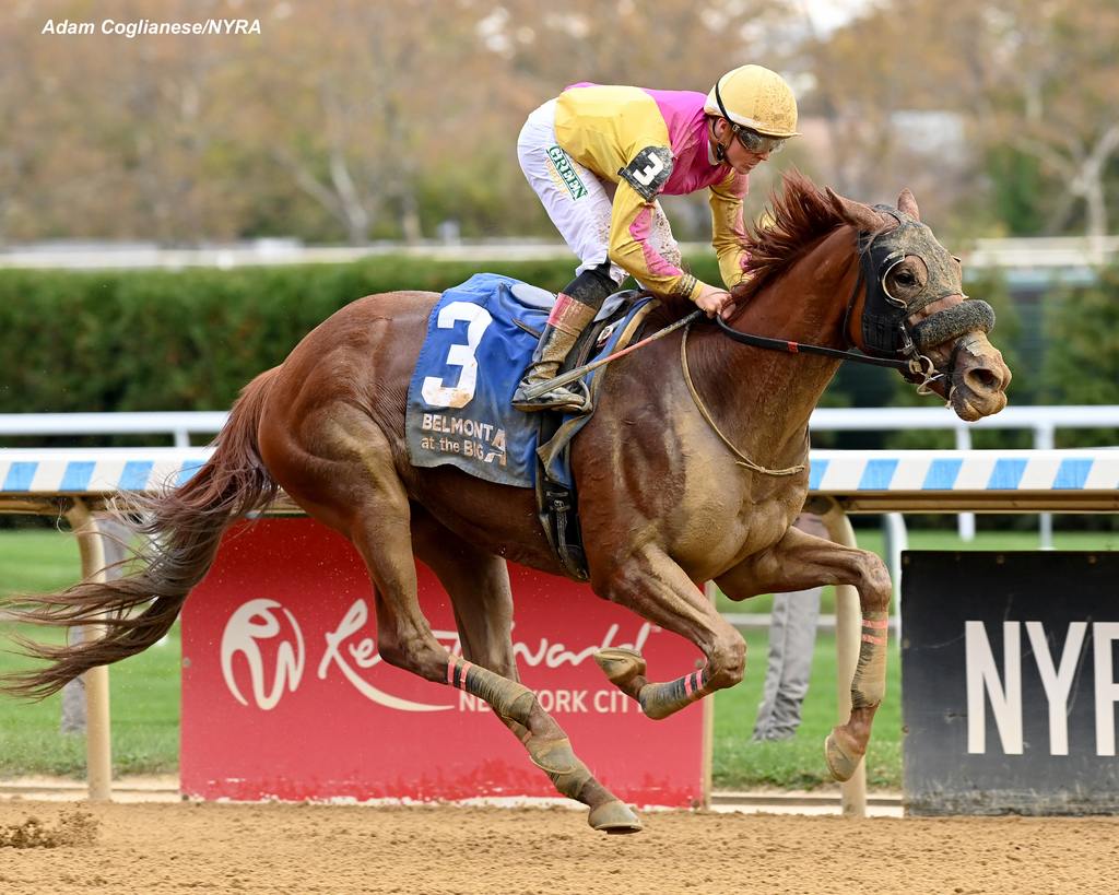 Valtellina cruises under Dylan Davis. (Susie Raisher)