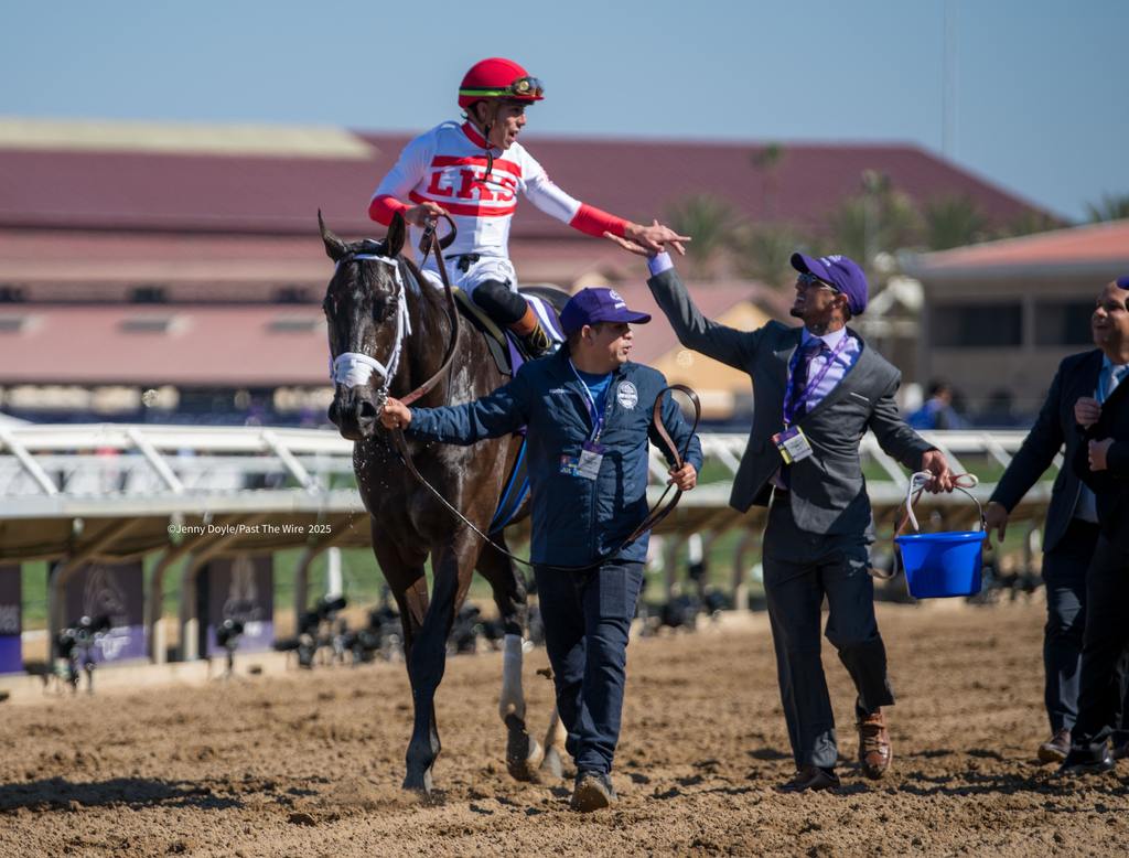 On their way to the winner's circle. (Jenny Doyle/Past The Wire)