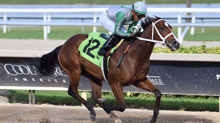 Mythical, Colgianses Photo