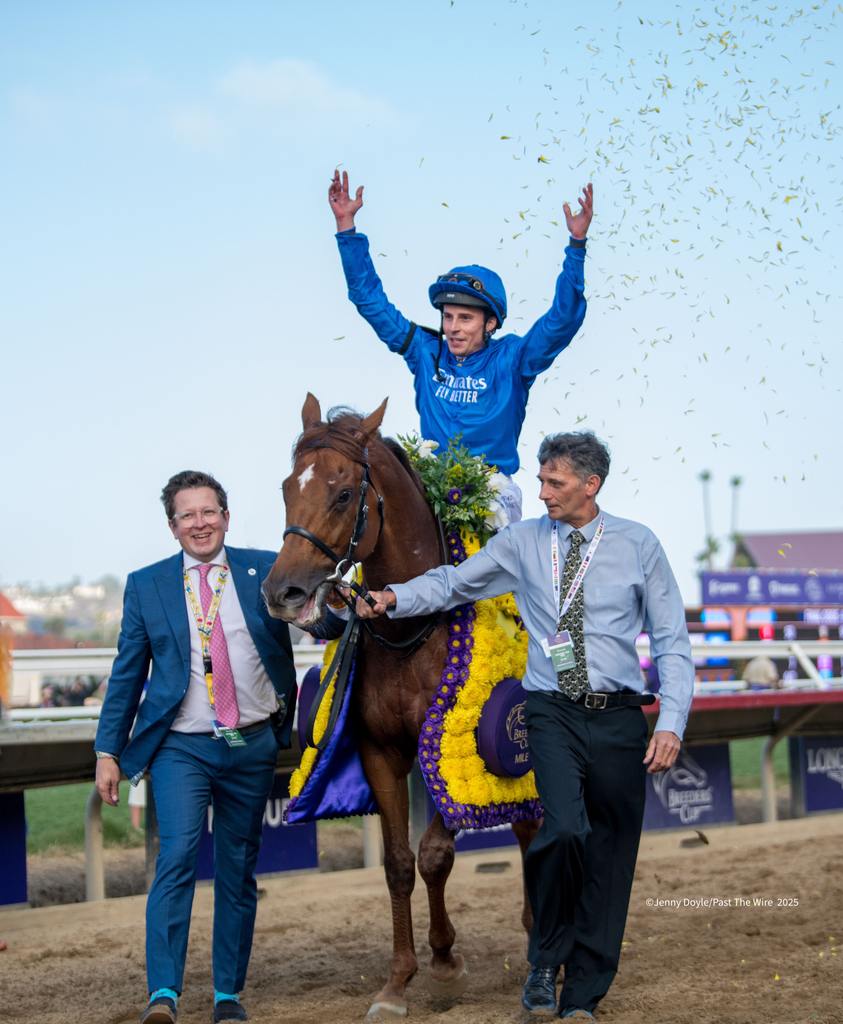 Celebration all around. (Jenny Doyle/Past The Wire)