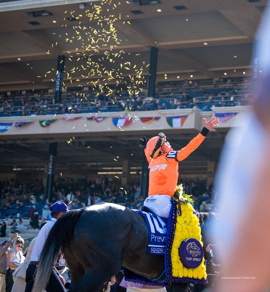 It’s a flower shower for Irad Ortiz and Shisospicy. (Jenny Doyle/Past The Wire)