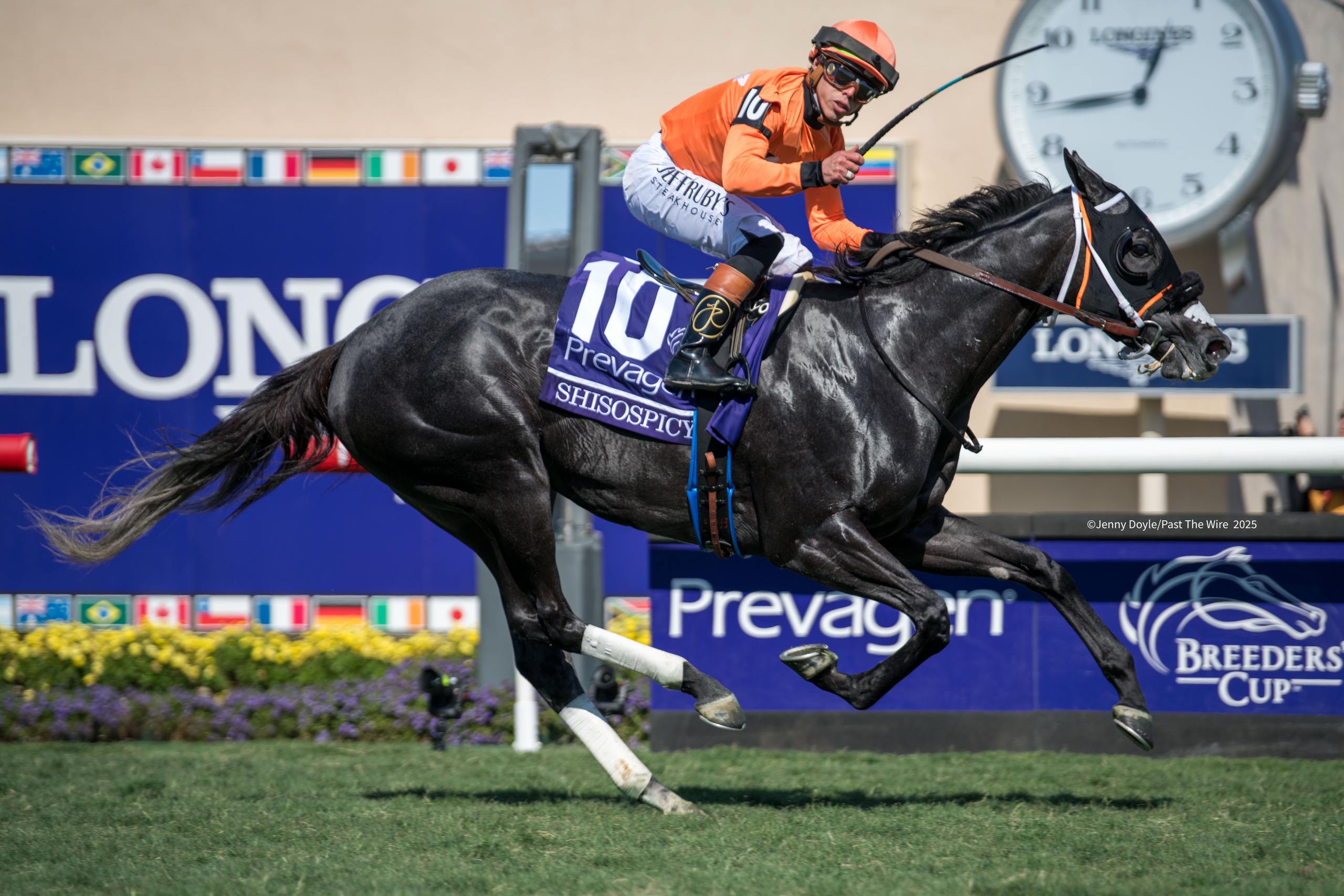 SHISOSPICY-BC-Turf-Sprint-DM-