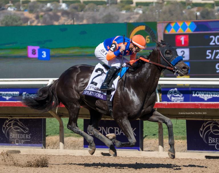 Splendora roars and romps. (Jenny Doyle/Past The Wire)