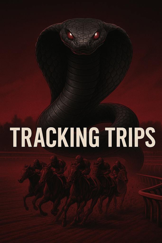 TT: Vertical Ad (ad)