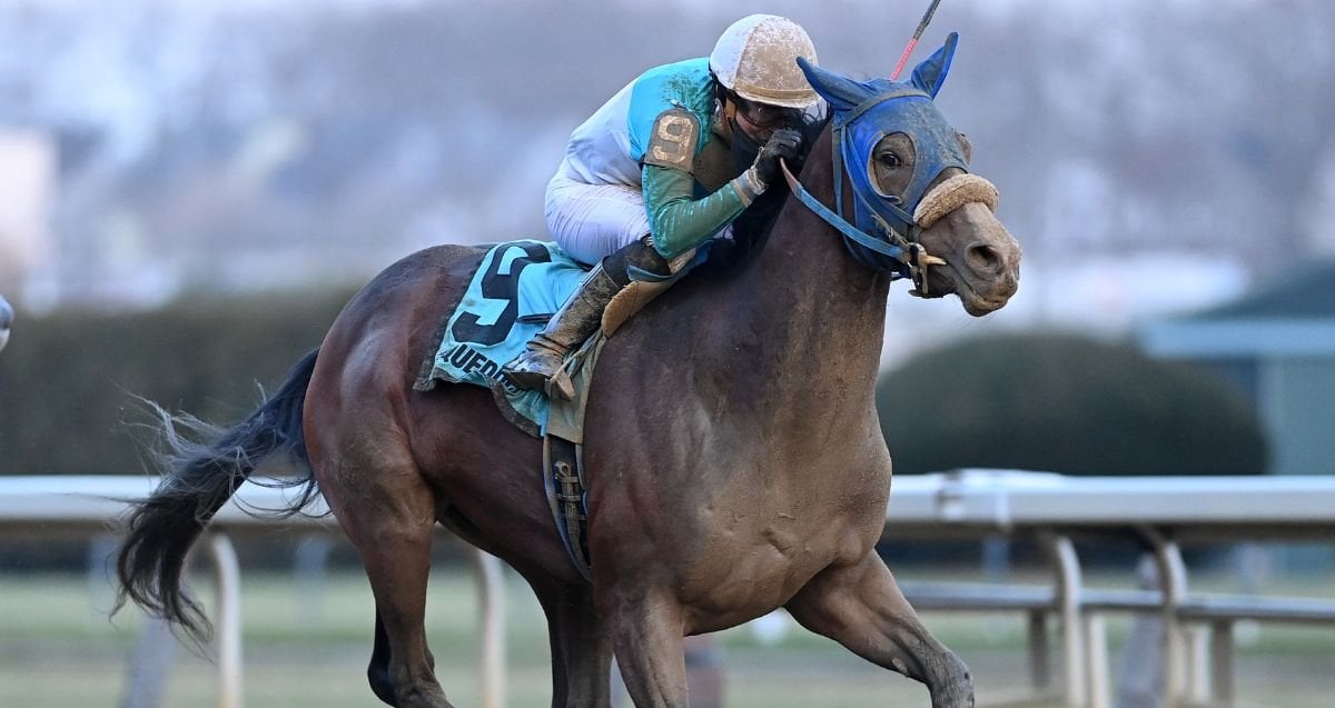 ビジネス・経済 HIT WIN VICTORY II OF HORSE RACE IMG_0404.jpeg