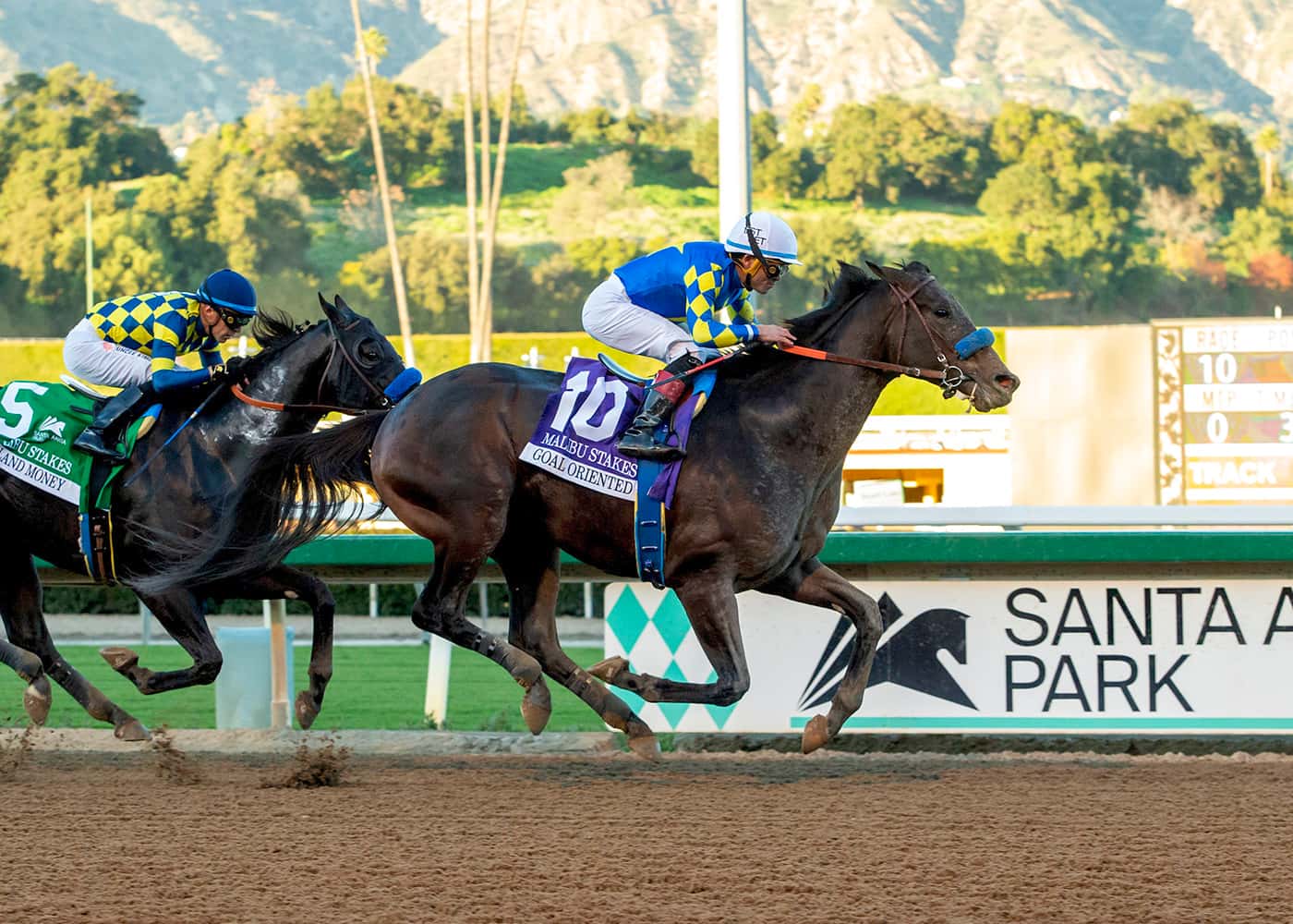 Bob Baffert trained five of the ten horses - Past The Wire