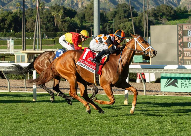 Queen Maxima in the Las Cienegas, Benoit PHoto