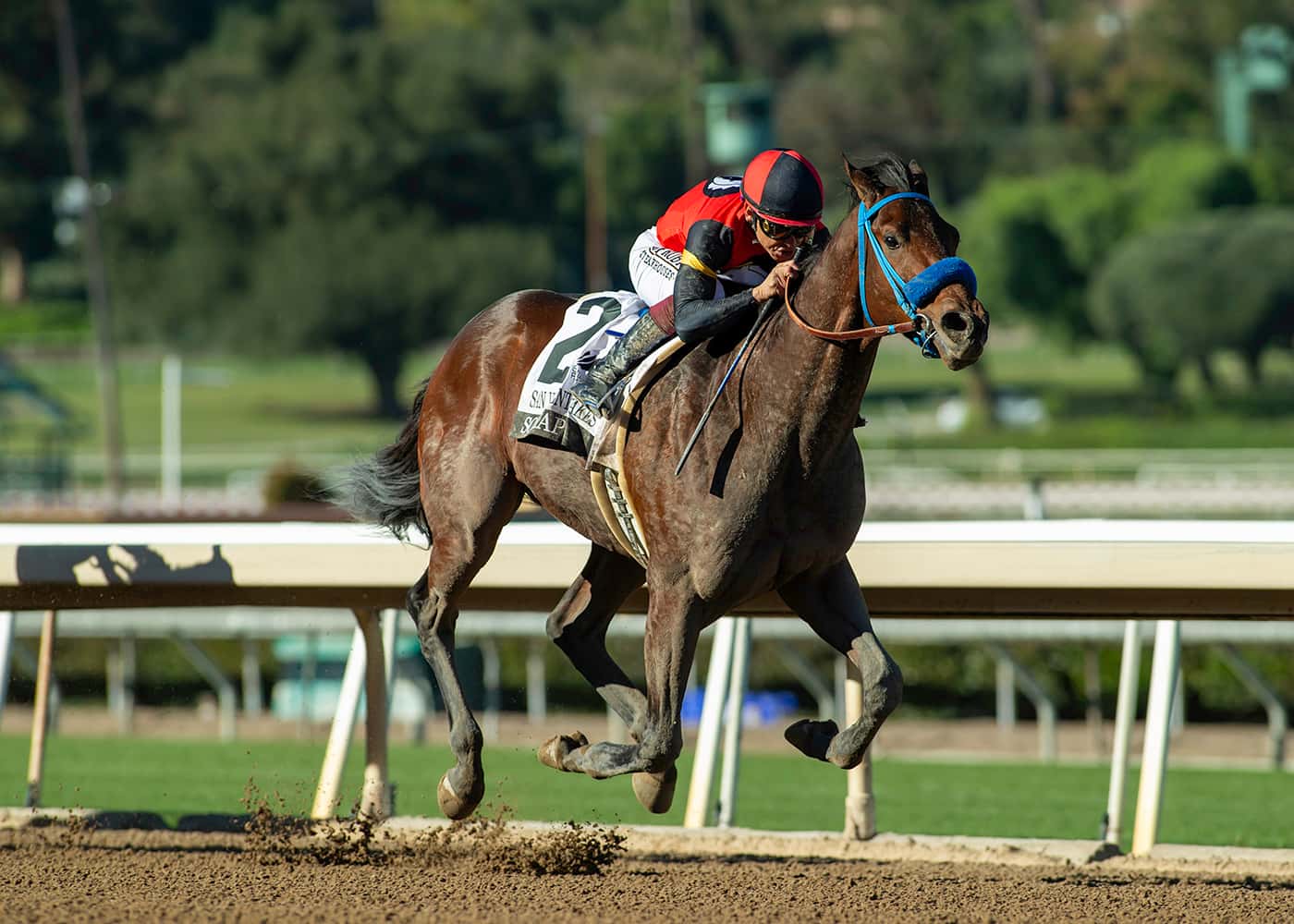 So Happy Wins The G2 San Vicente - Past The Wire