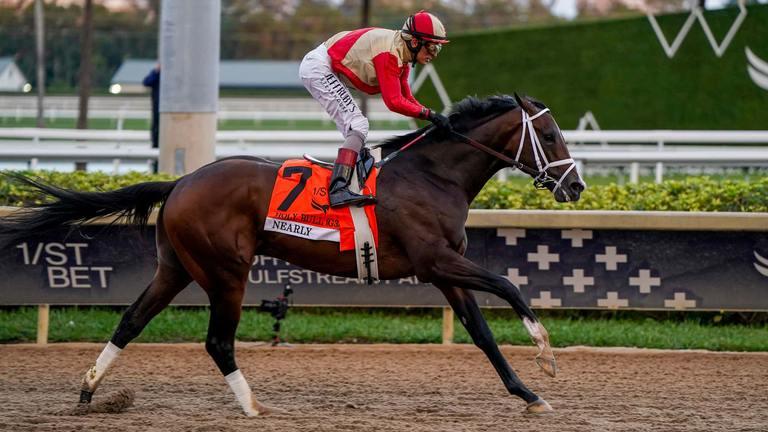 Nearly in the Holy Bull, Coglianese Photo